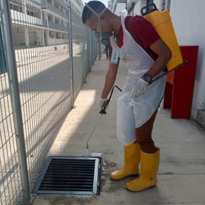 Pest Control